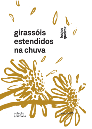 Girassóis estendidos na chuva